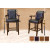 Elegant Spectator Chairs